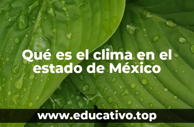 Qué es el clima en el estado de México