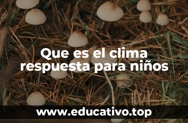 Que es el clima respuesta para niños