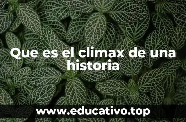 Que es el climax de una historia