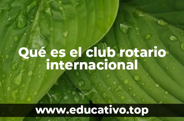 Qué es el club rotario internacional