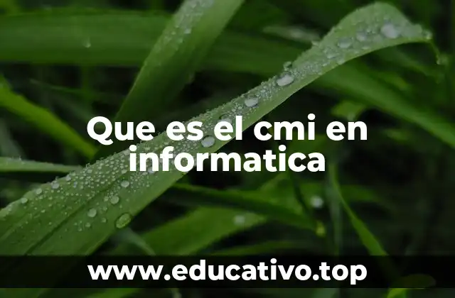 Que es el cmi en informatica