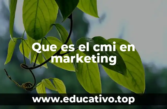 Que es el cmi en marketing
