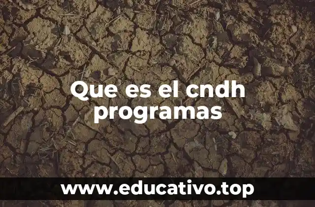 Que es el cndh programas