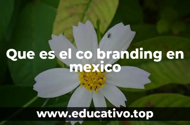 Que es el co branding en mexico