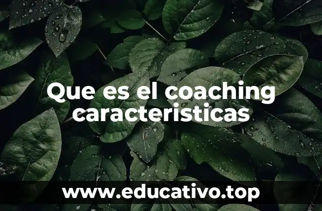 Que es el coaching caracteristicas