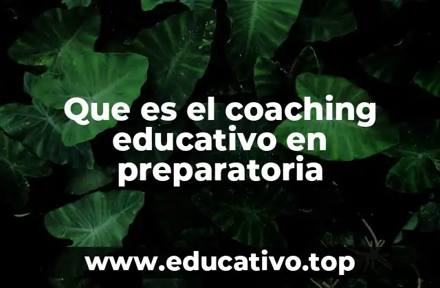 Que es el coaching educativo en preparatoria
