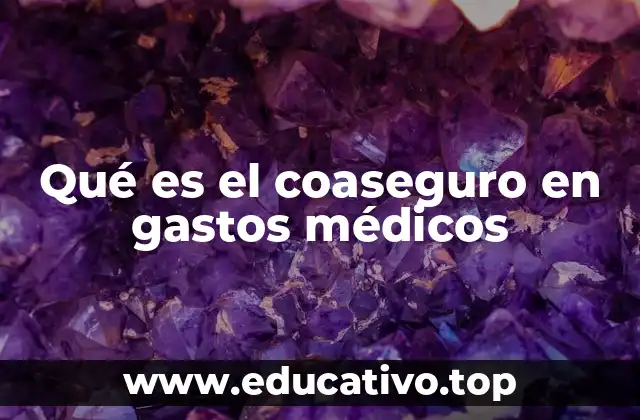 Qué es el coaseguro en gastos médicos