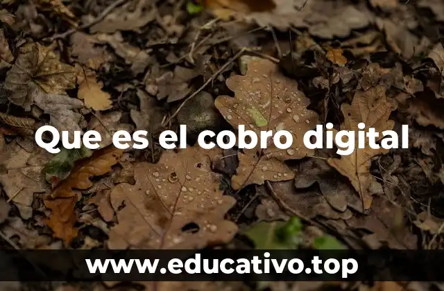 Que es el cobro digital