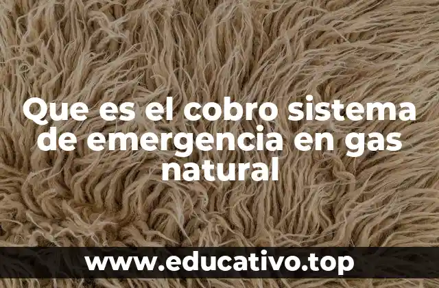 Que es el cobro sistema de emergencia en gas natural
