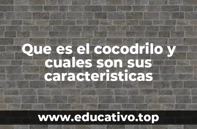 Que es el cocodrilo y cuales son sus caracteristicas