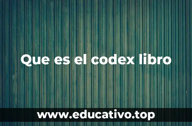 Que es el codex libro