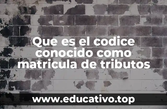 Que es el codice conocido como matricula de tributos