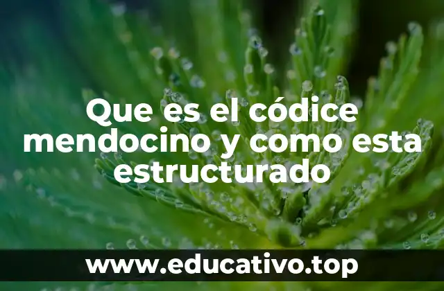 Que es el códice mendocino y como esta estructurado