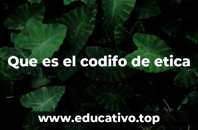Que es el codifo de etica