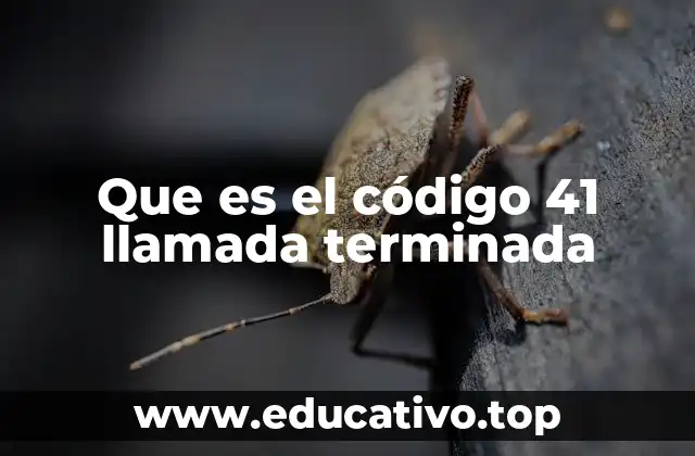 Que es el código 41 llamada terminada