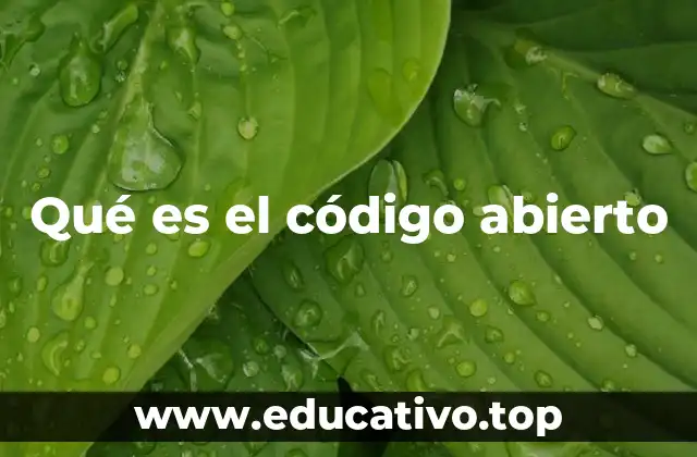 Qué es el código abierto