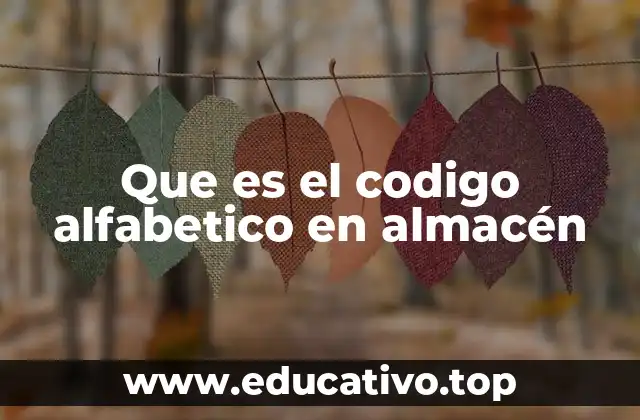Que es el codigo alfabetico en almacén