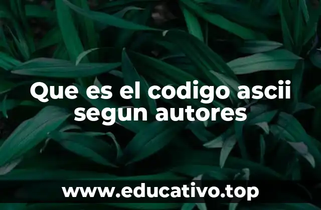 Que es el codigo ascii segun autores