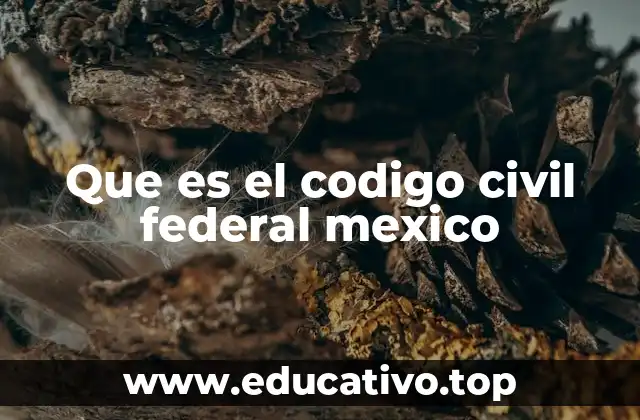 Que es el codigo civil federal mexico