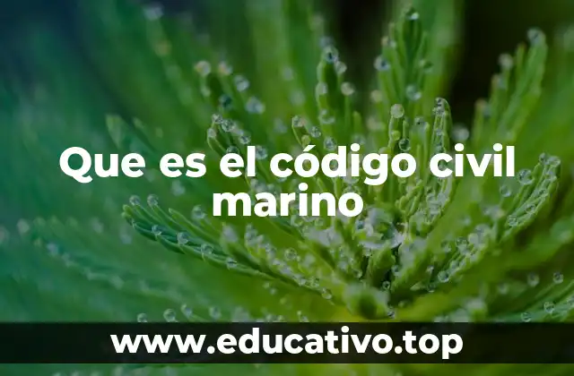 Que es el código civil marino