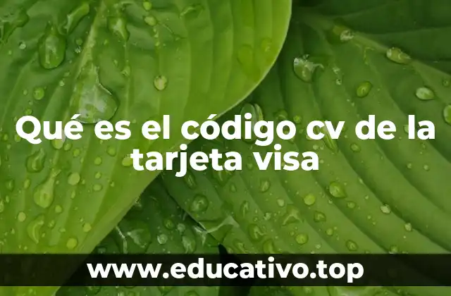 Qué es el código cv de la tarjeta visa