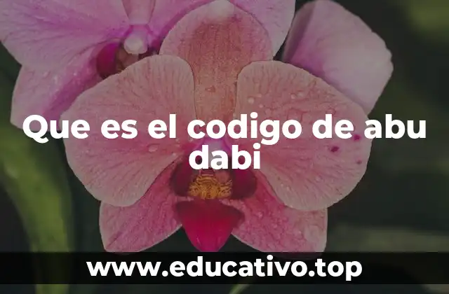 Que es el codigo de abu dabi