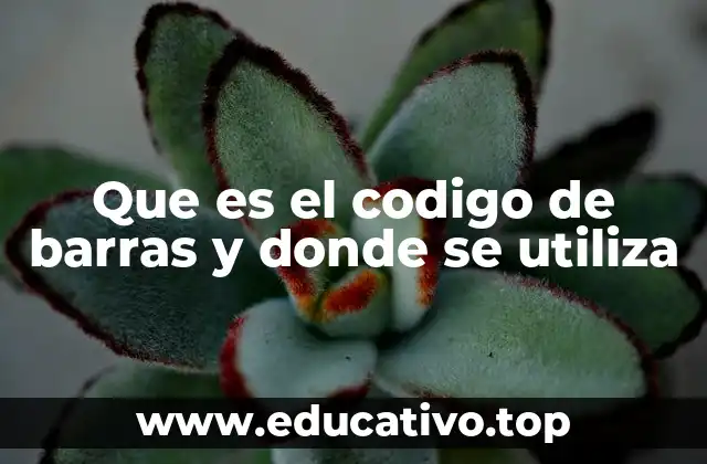 Que es el codigo de barras y donde se utiliza