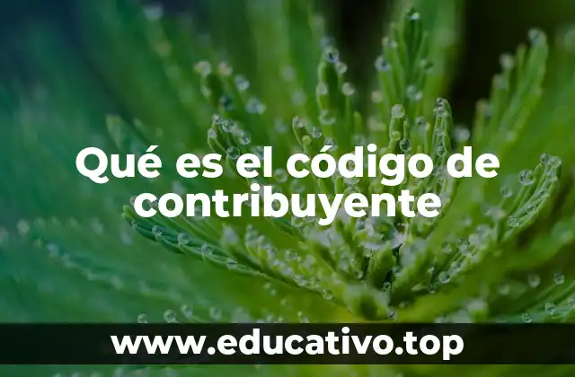 Qué es el código de contribuyente