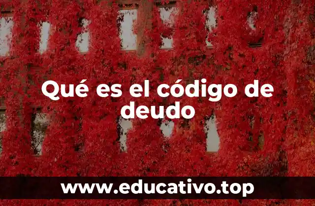Qué es el código de deudo