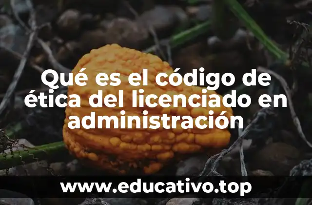 Qué es el código de ética del licenciado en administración