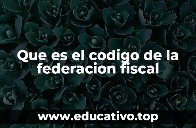 Que es el codigo de la federacion fiscal