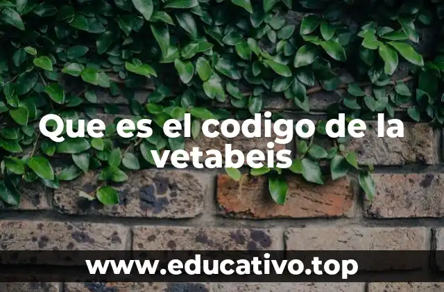Que es el codigo de la vetabeis