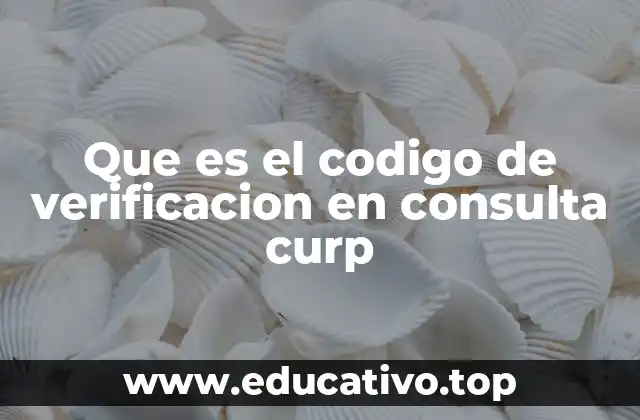Que es el codigo de verificacion en consulta curp