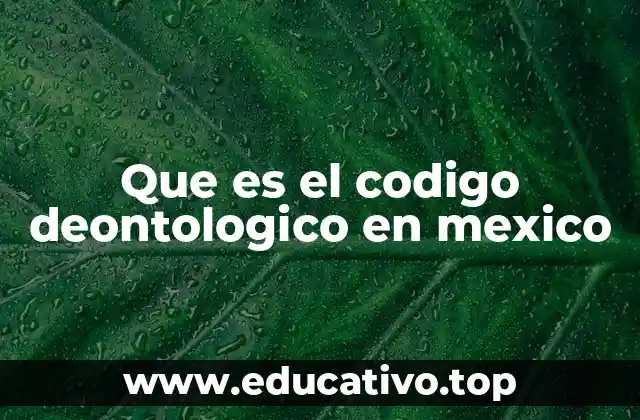 La importancia de los códigos deontológicos en la sociedad mexicana