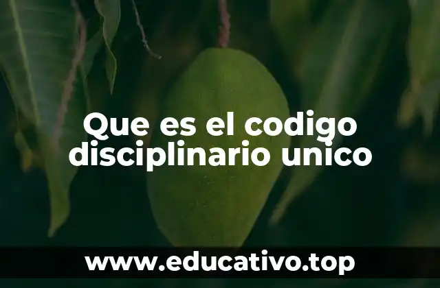 Que es el codigo disciplinario unico