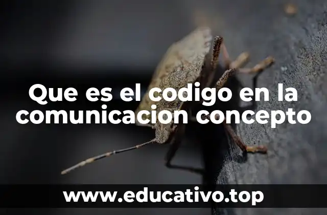 La importancia del código en la transmisión de mensajes