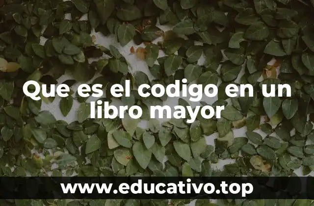Que es el codigo en un libro mayor