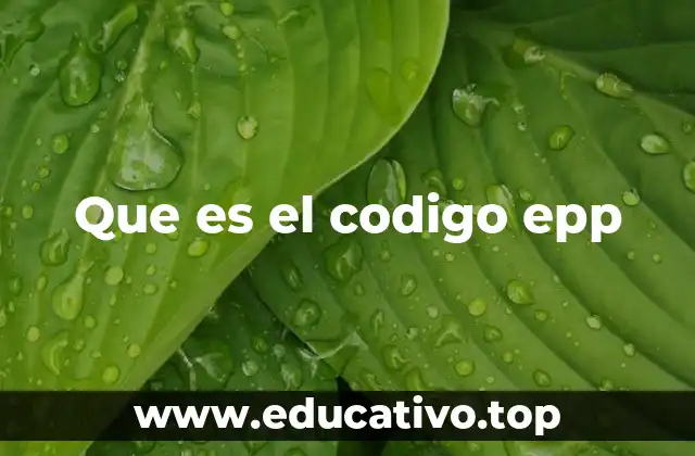 Que es el codigo epp