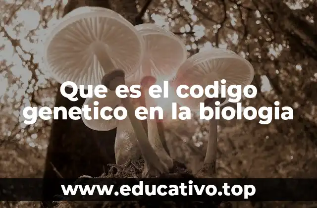 Que es el codigo genetico en la biologia