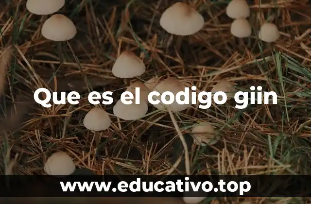 Que es el codigo giin