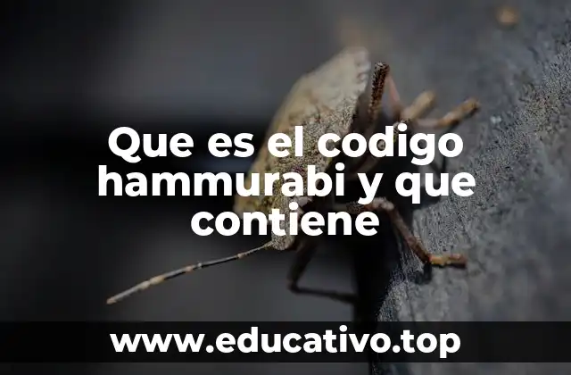 Que es el codigo hammurabi y que contiene