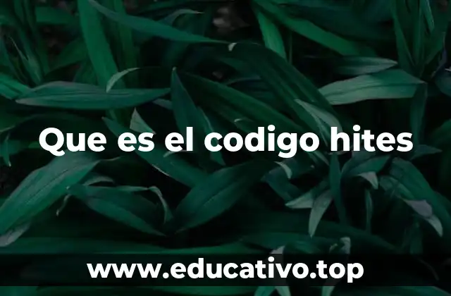 Que es el codigo hites