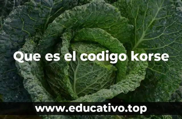 Que es el codigo korse