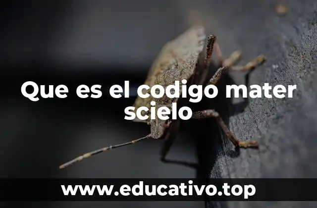 Que es el codigo mater scielo