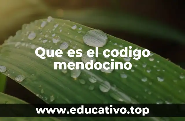 La organización judicial en la provincia de Mendoza