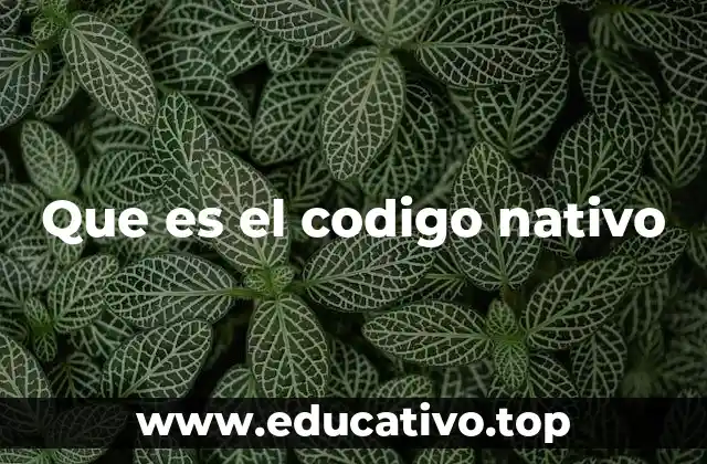 Que es el codigo nativo