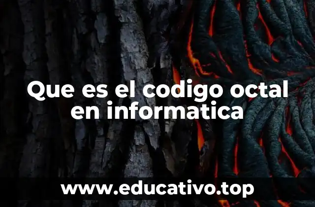 Que es el codigo octal en informatica
