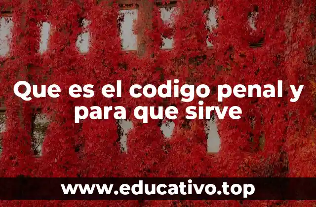 Que es el codigo penal y para que sirve