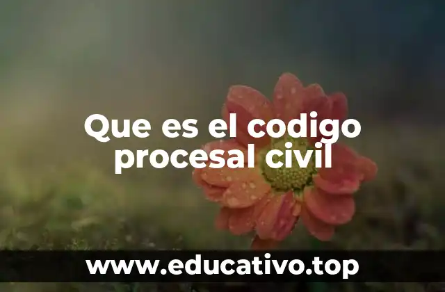 Que es el codigo procesal civil