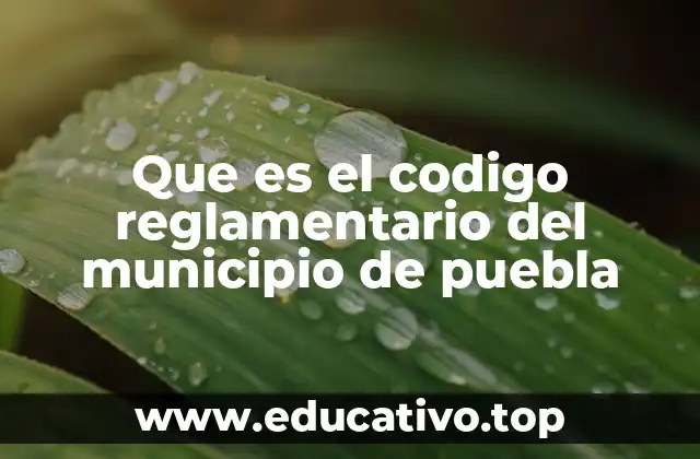 Que es el codigo reglamentario del municipio de puebla